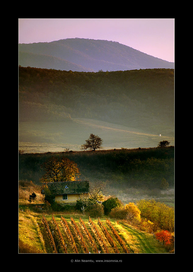 Siria's Hills