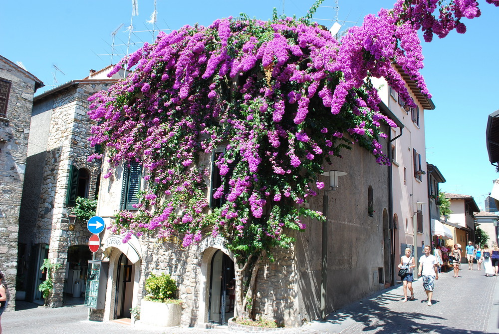 Sirmione 3