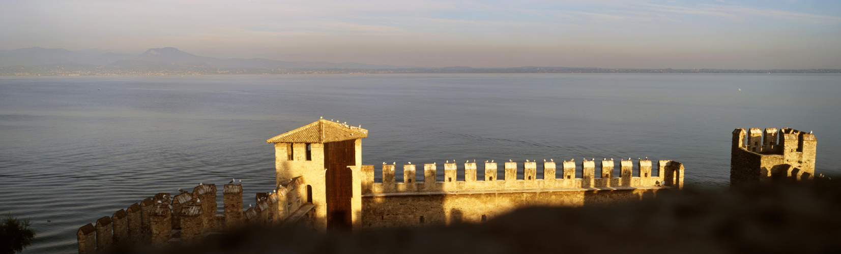 Sirmione Italy birds