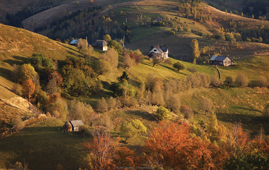 Sirnea in Autumn