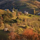 Sirnea in Autumn