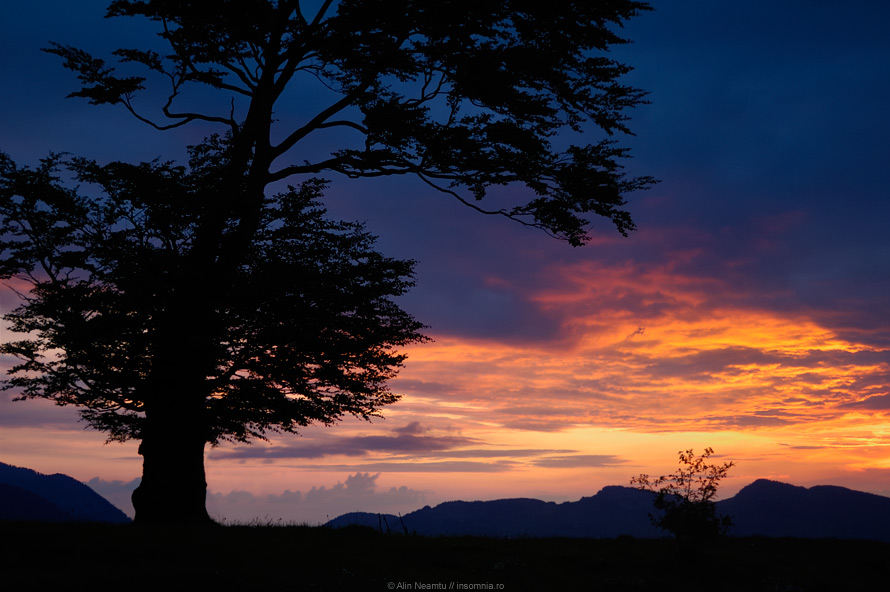 Sirnea in May... A Sunrise