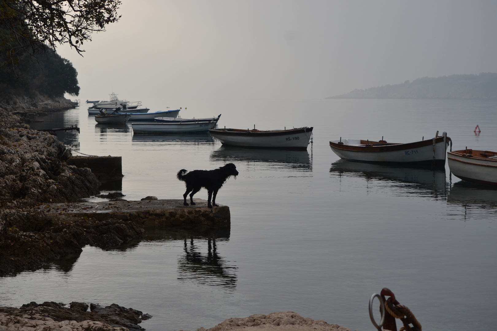 Siro am einem kleinen Hafen in Croatien