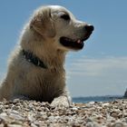 Sirolo am Strand