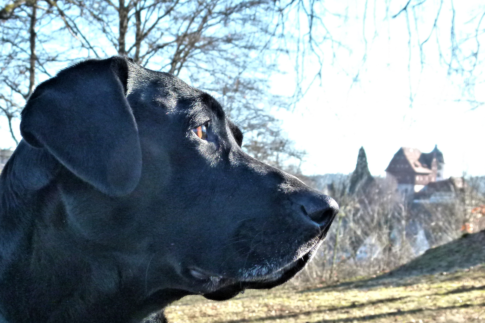 SISKO auf dem Schlossberg in Altensteig