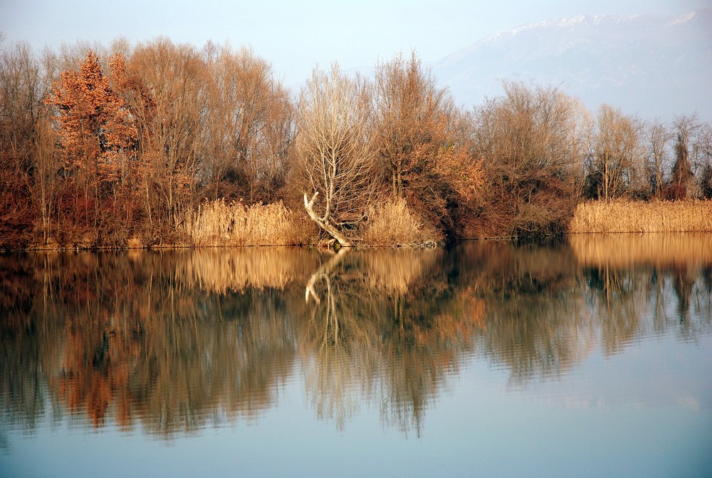 sismogramma autunnale