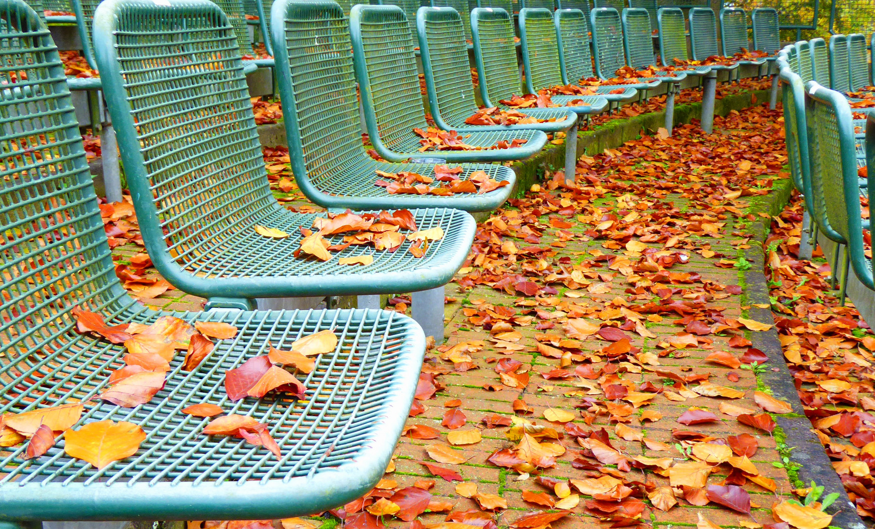 Sit down please Foto & Bild architektur, pflanzen, pilze