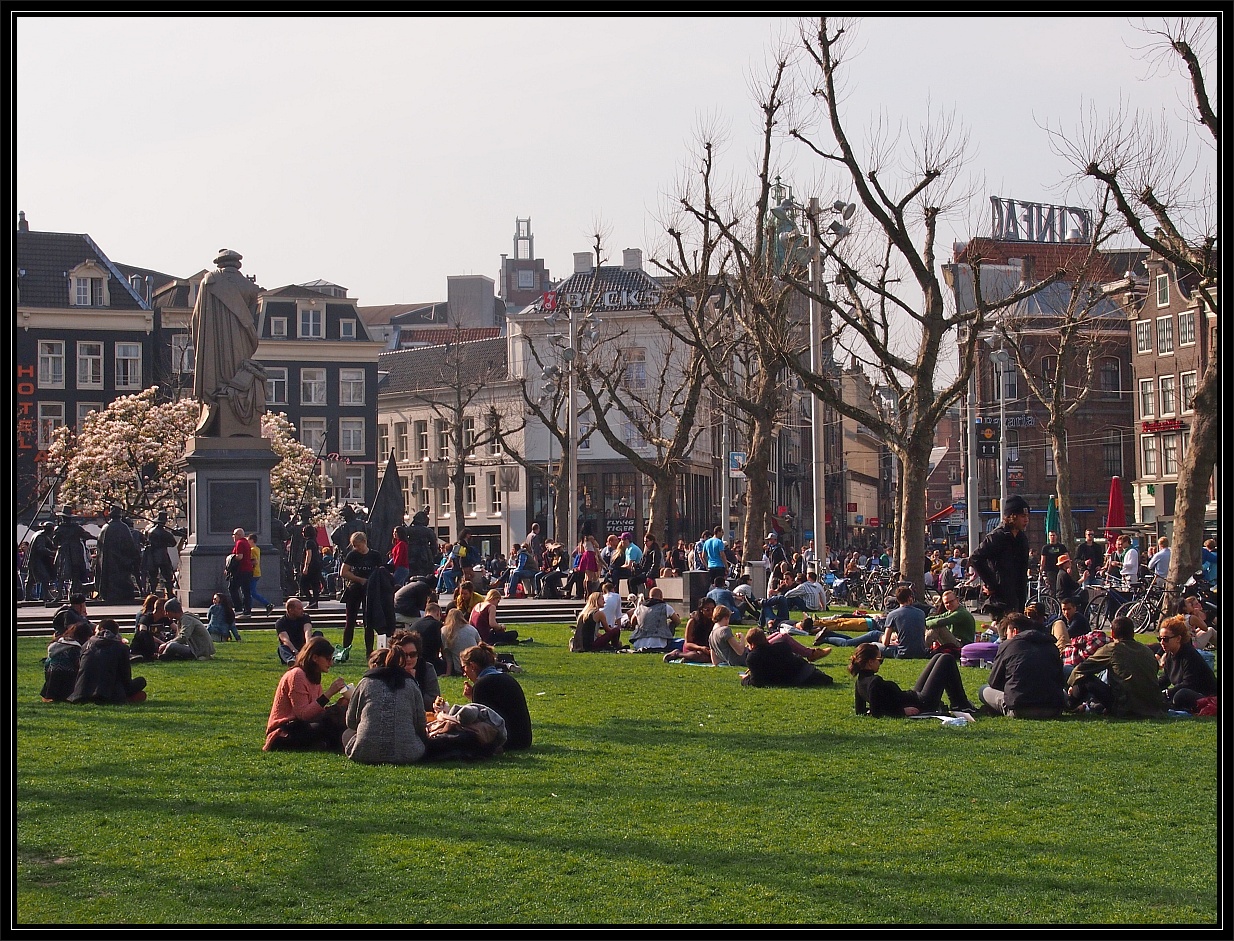 Sit in am Rembrandplein