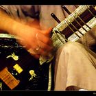 Sitar in Action