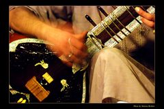Sitar in Action