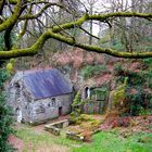 Site de Locuon à Ploërdut (56)