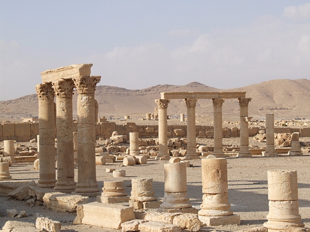 Sito Archeologico di Palmyra (2)