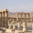 Sito Archeologico di Palmyra (2)