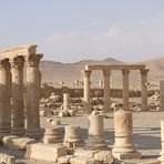 Sito Archeologico di Palmyra (2)