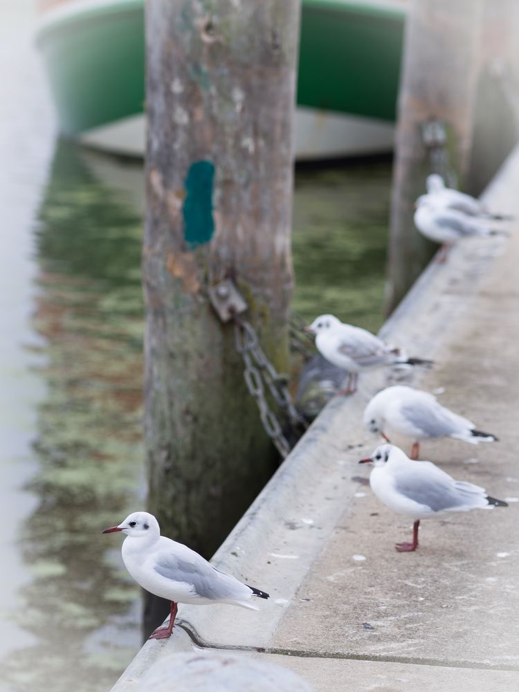 Sittin' on The Dock of the Bay