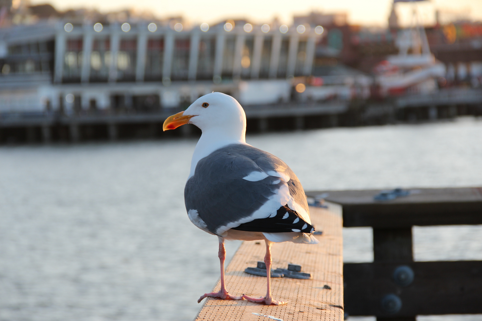 Sittin' On The Dock Of The Bay