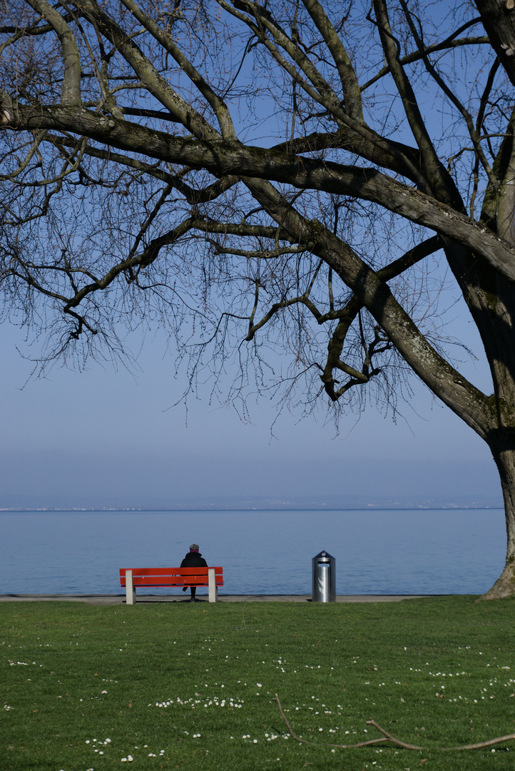 sitting by the lake