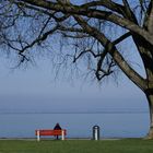 sitting by the lake