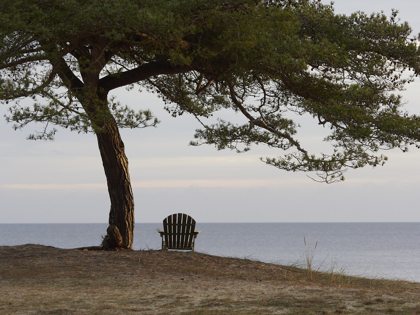 Sitting by the see