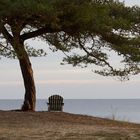 Sitting by the see