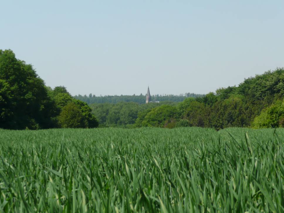 Sitting in the Fields