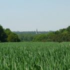 Sitting in the Fields