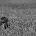 SITTING IN THE FIELDS