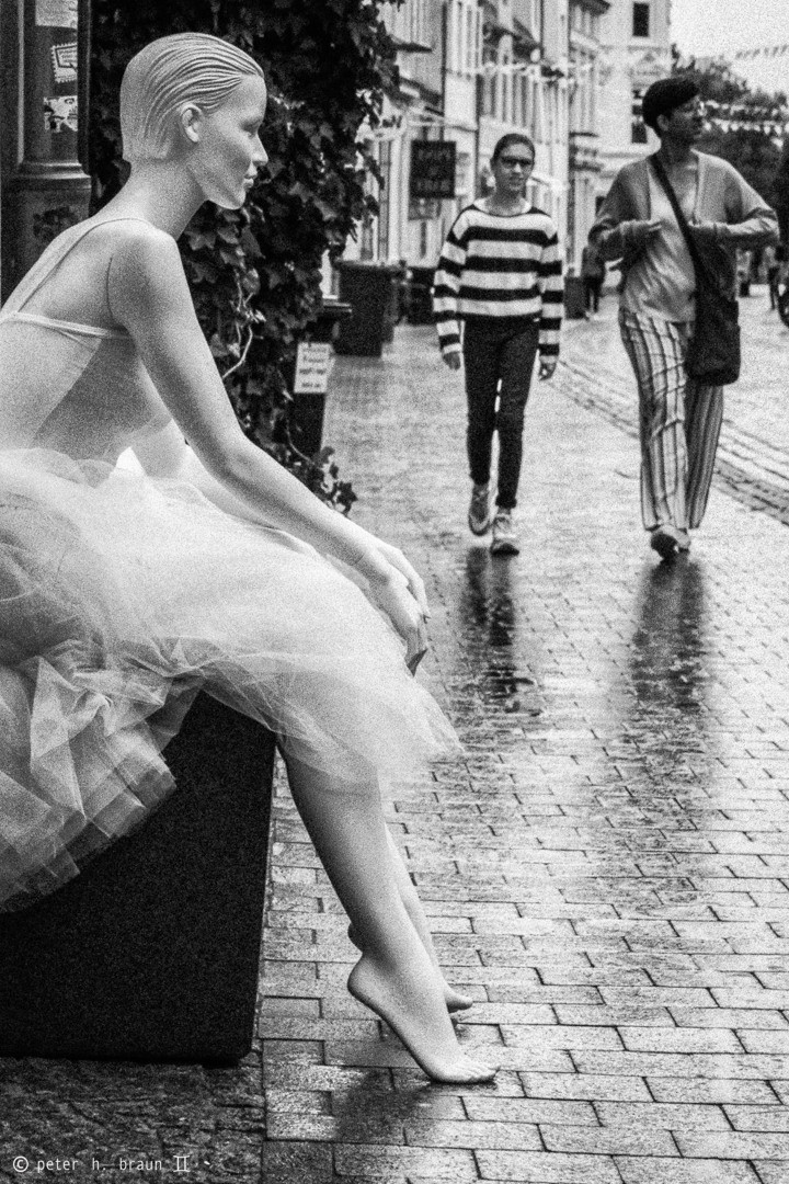 photo Sitting In The Rain Pictures sitting in the rain foto bild deutschland europe schleswig holstein bilder auf fotocommunity