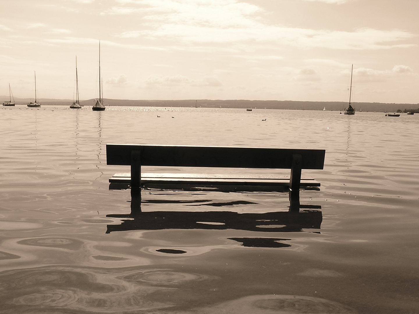 Sitting in the water