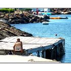 Sitting on a dock of a bay