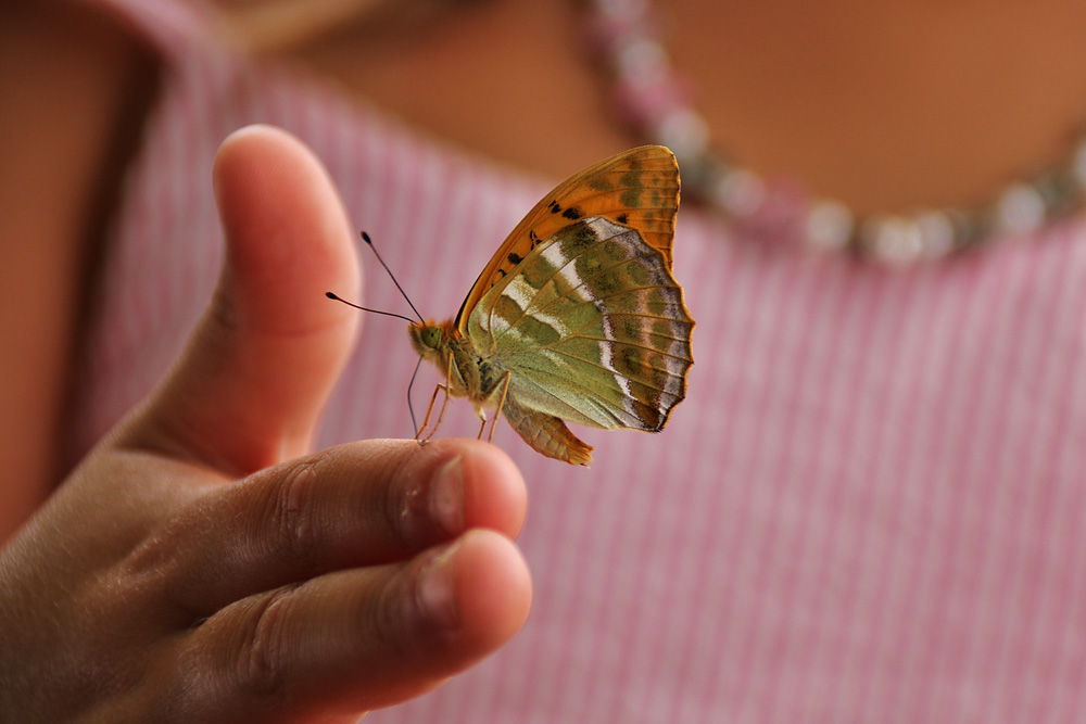 sitting on a finger.......