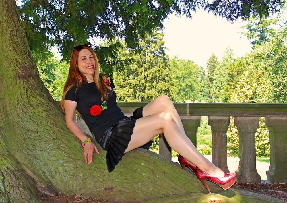 Sitting on a Tree 1