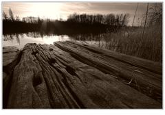 Sitting on the dock of the bay...