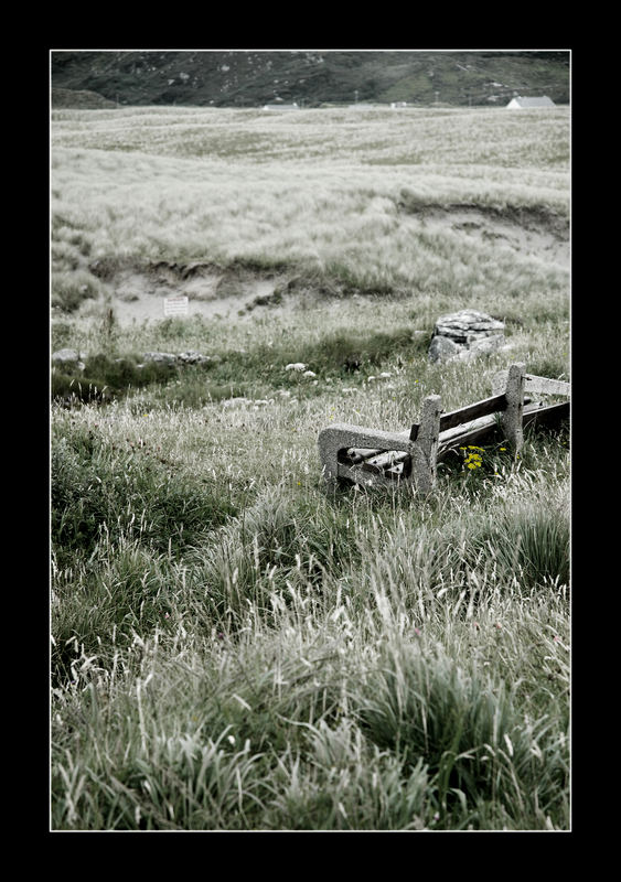 Sitting with the Wind