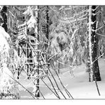 Sitz im Schnee