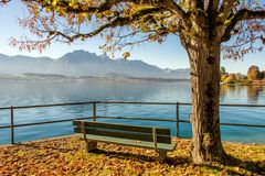 Sitzbank am Thunersee