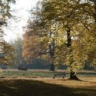 Sitzbank im Großen Garten