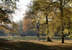 Sitzbank im Großen Garten