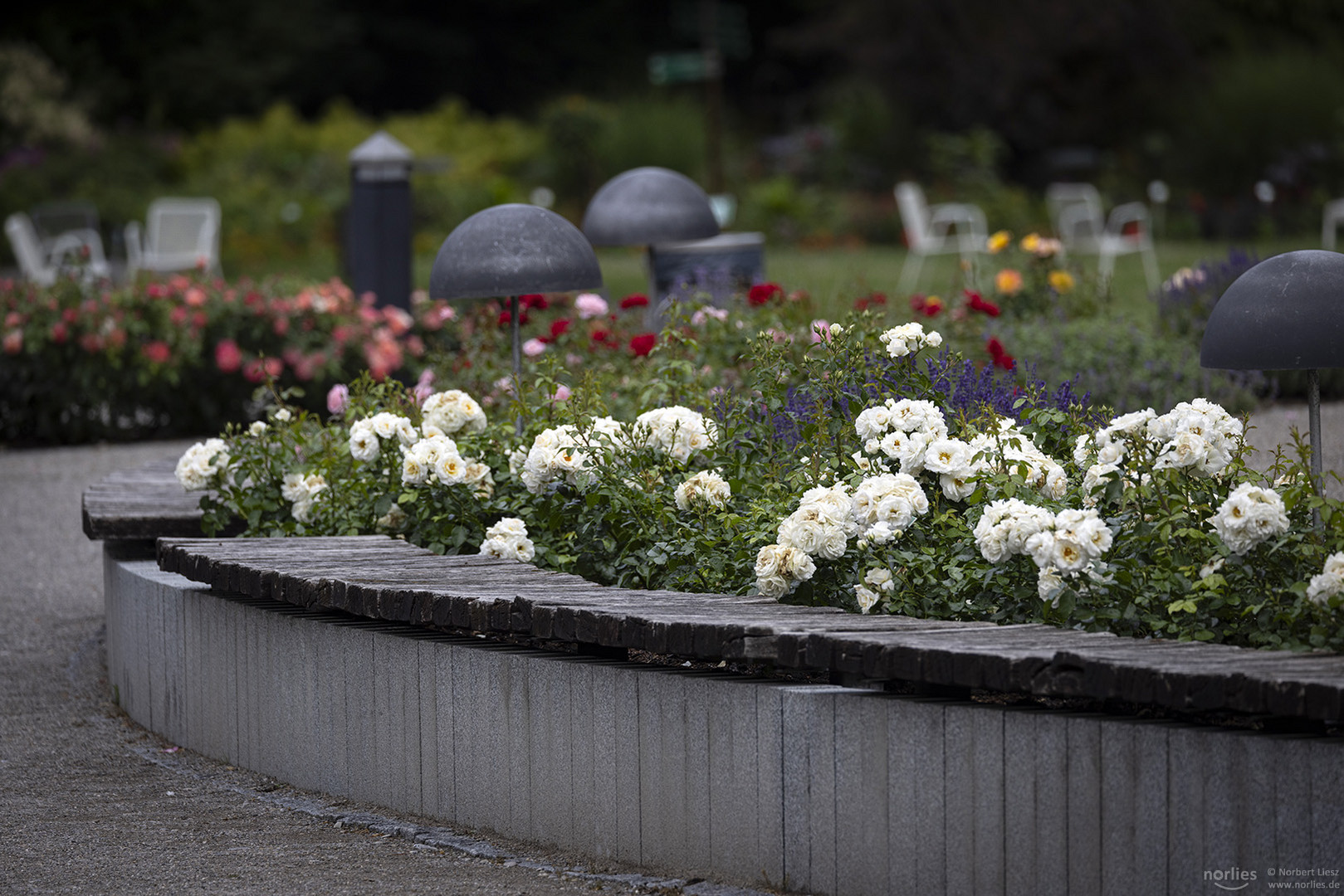 Sitzbank im Rosengarten