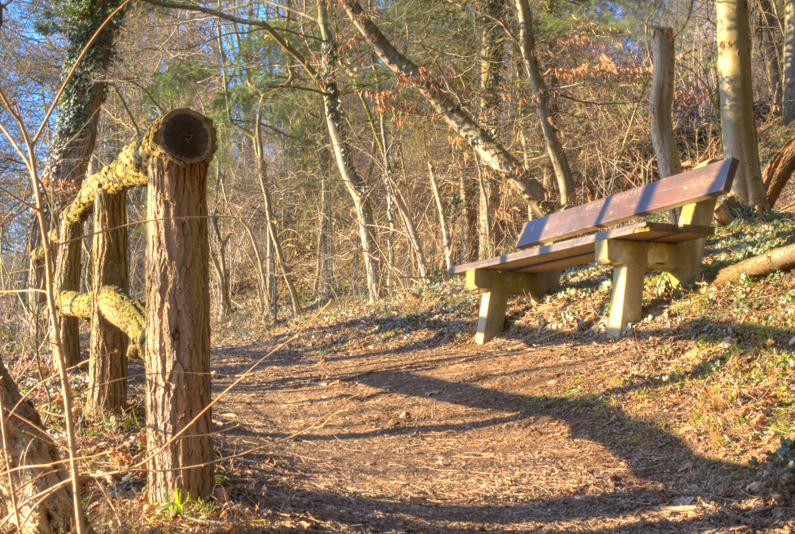 Sitzbank im Wald