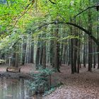 Sitzbank im Wald HDRi