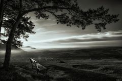 Sitzbank unter Baum