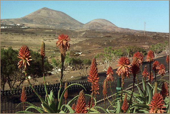 Sitze auf gepackten Koffern