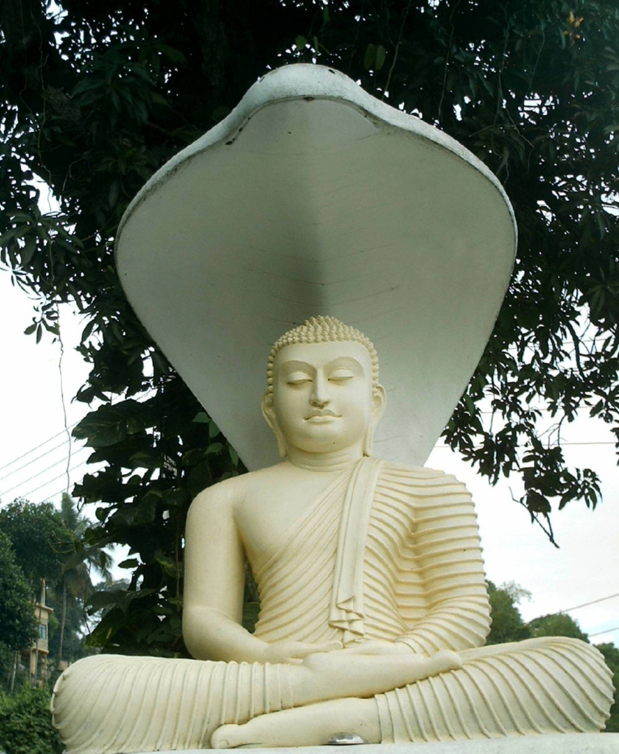 sitzender Buddha Sri Lanka