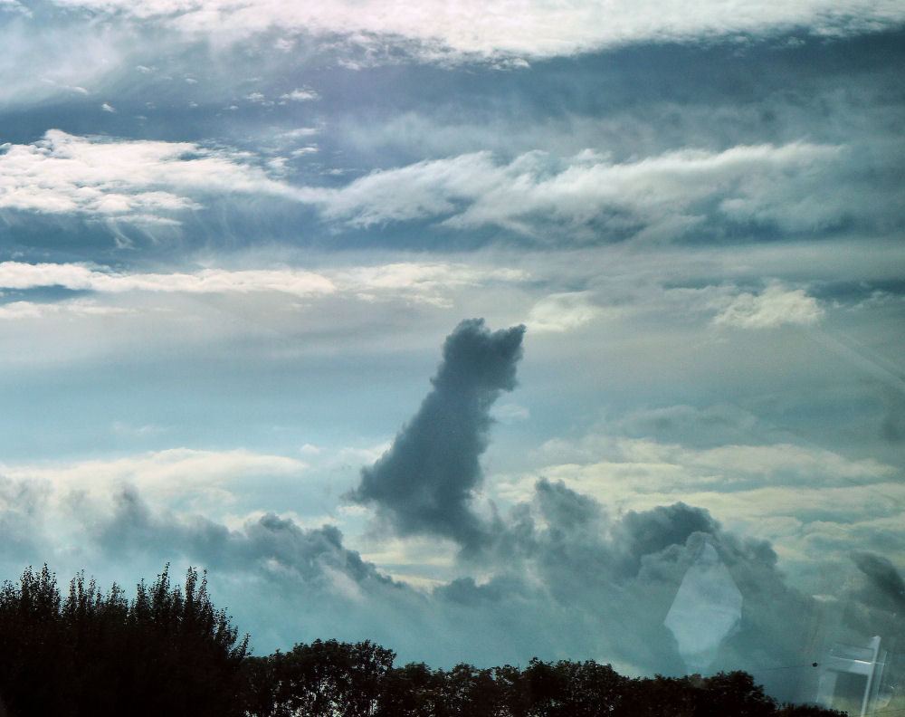 Sitzender Hund in den Wolken