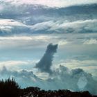 Sitzender Hund in den Wolken