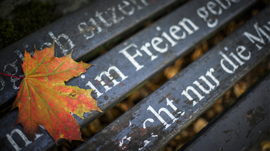 Sitzgelegenheit "im Freien"- Detail