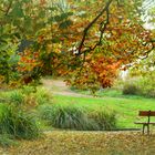 Sitzgelegenheit im Park