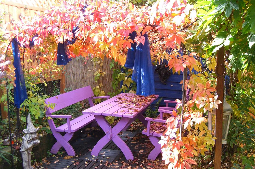 Sitzgruppe im herbstlichen 'Weinlaub