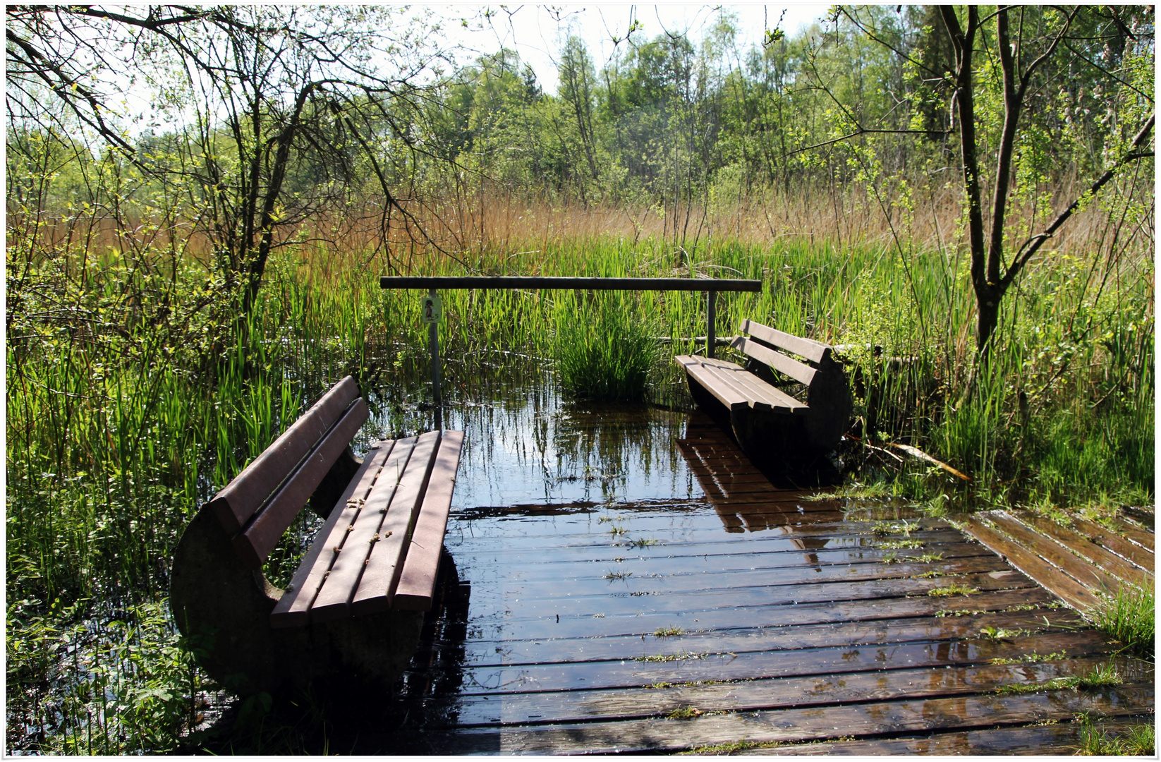 Sitzgruppe im Moor